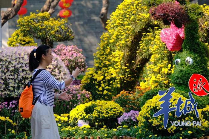 元旦赏花去！到广州文化公园菊展与花斗艳