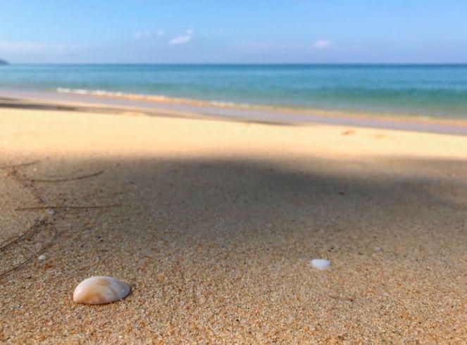 带娃去普吉岛，这套“不掉坑”玩法一定要看