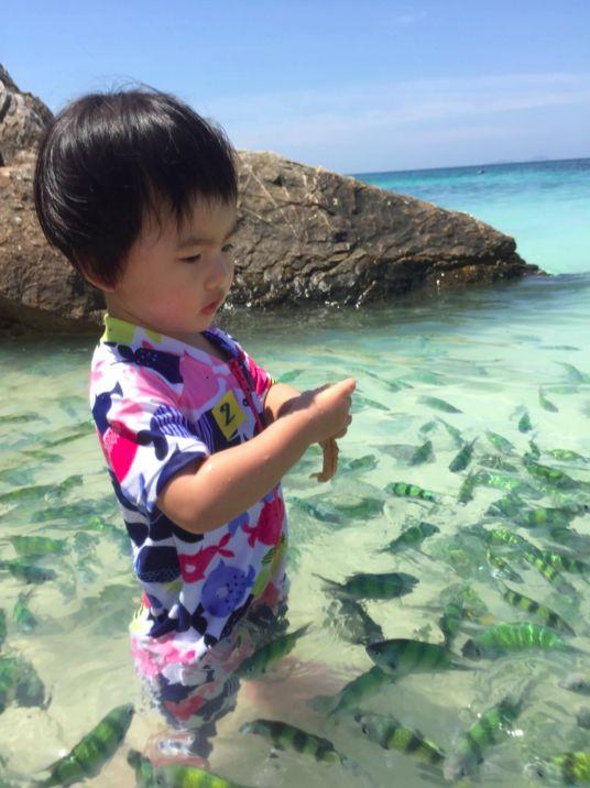 带娃去普吉岛，这套“不掉坑”玩法一定要看