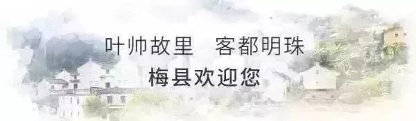 【“不忘初心、牢记使命”革命传统教育】⑦梅县苏维埃政府的成立