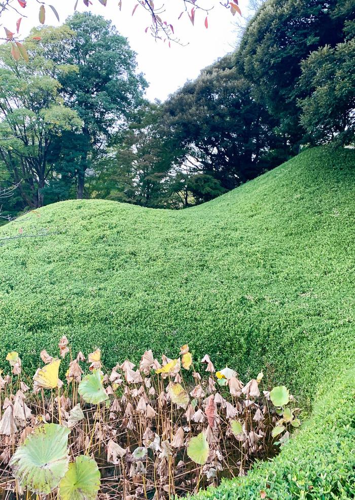 东京都内的深山幽谷：小石川后乐园