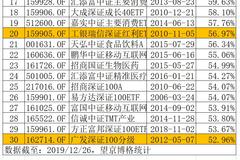 2019收益最高的指数基金：白酒、电子、深证100