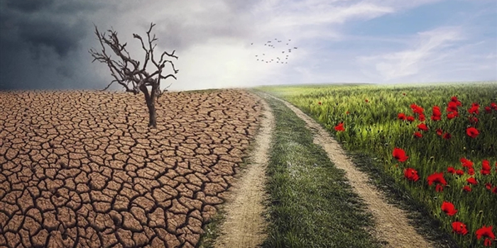 轻风和微风哪个风力大 w700h350z1l10t1044f.jpg