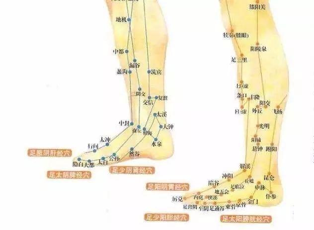 深到可以泡小腿的德国足浴桶，还能全自动按摩，一泡上瘾！