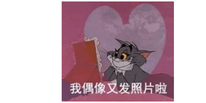 w700h350z1l10t10784.jpg