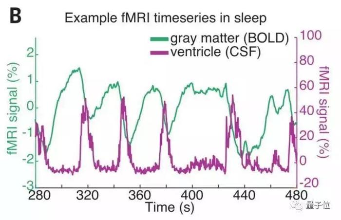 科学家首次拍到:人睡着时清洗大脑全过程!熬夜会变傻终于有科学依据了