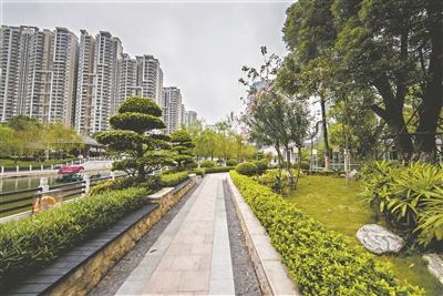 猎德涌碧道景色怡人。广州日报全媒体记者庄小龙 摄