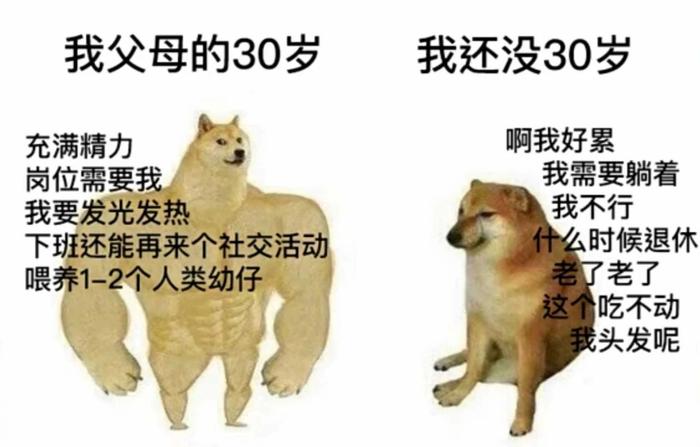 图片来自网络
