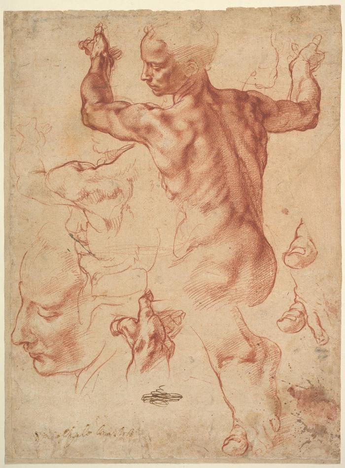 “利比亚女先知”素描手稿,米开朗基罗,约1510-1511年,大都会艺术博物馆