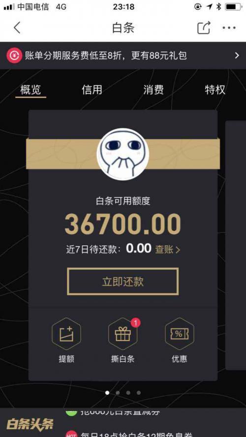 (京东白条额度)
