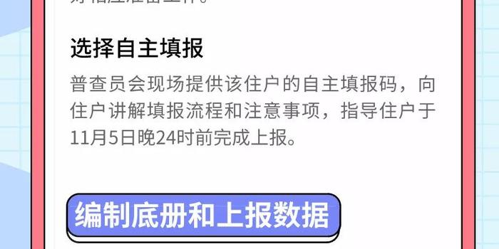 北京市人口普查摸底调查表_人口普查调查表模板(2)