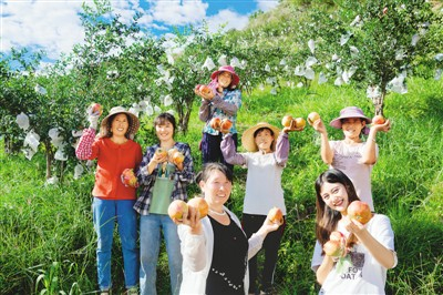 何爽(右前一)和村民们收获的石榴。 受访人供图