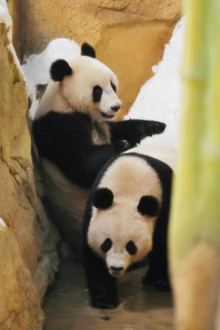 图片来源:视觉中国