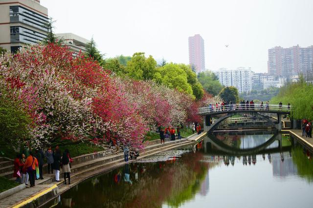 祝贺：三峡大学喜获国家科技进步特等奖！真是太牛了…