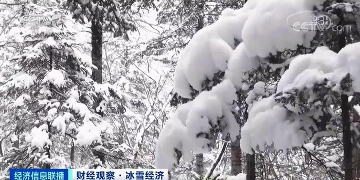这种职业一个雪季狂赚超10万元 背后还有6800亿元大市场将至!