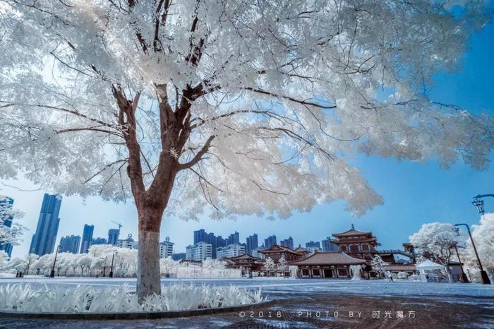 一下雪，中国就穿越了千年