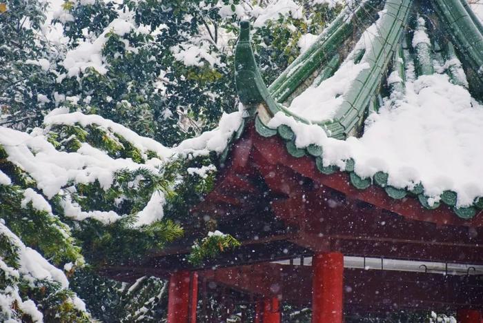 一下雪，中国就穿越了千年