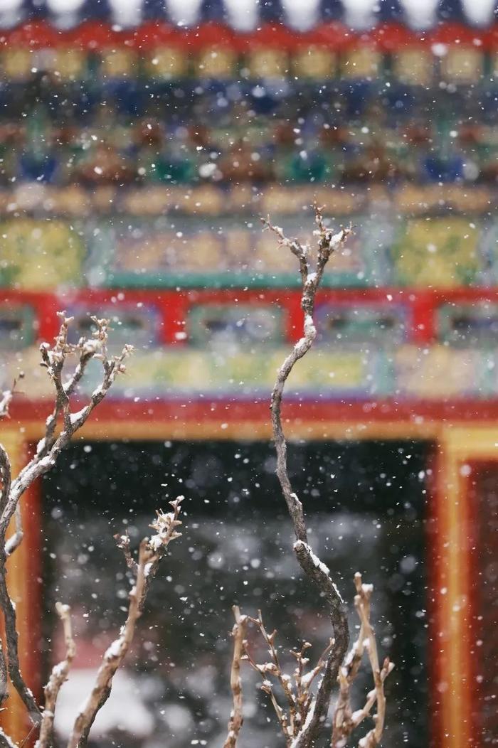 一下雪，中国就穿越了千年