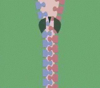 物理趣味动图，带你了解生活中的物理现象！
