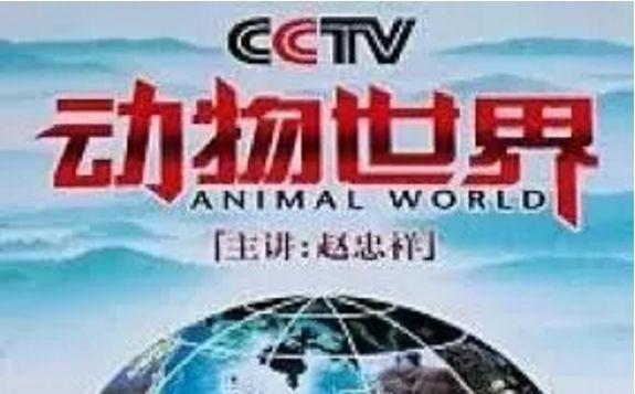 他走了，这档央视王牌的灵魂也没了
