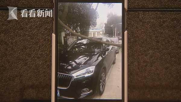 绿化养护时树枝掉落砸坏车 赔偿处理一拖再拖