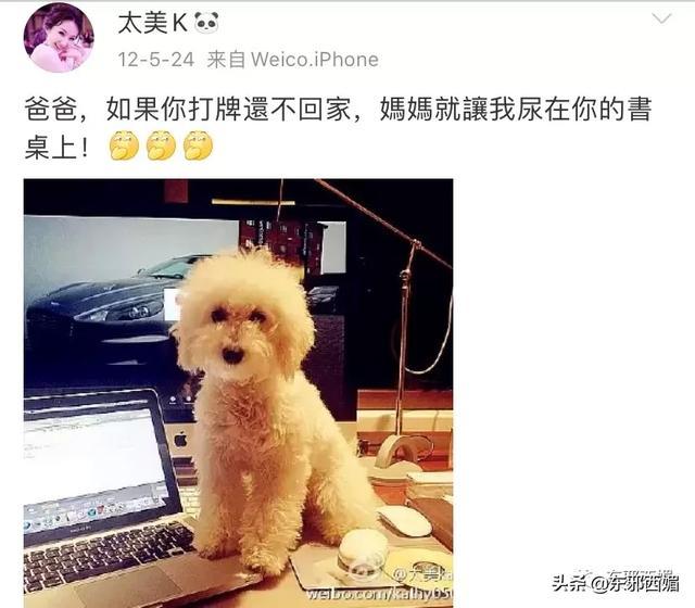 被嘲拜金女十年突然喊冤？说说她牵出的首富“外戚”一家精彩大瓜
