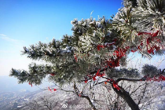 雪后的花果山你见过嘛？漫山雾凇，宛若仙境