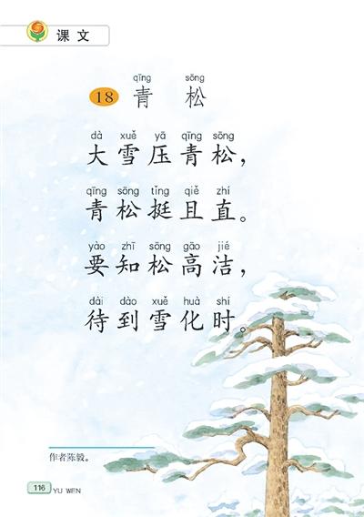青松(课本内页) 资料图片