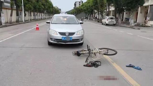 珠海女大学生刚拿驾照，开车回校途中撞死老伯！车上两同学却说没看见