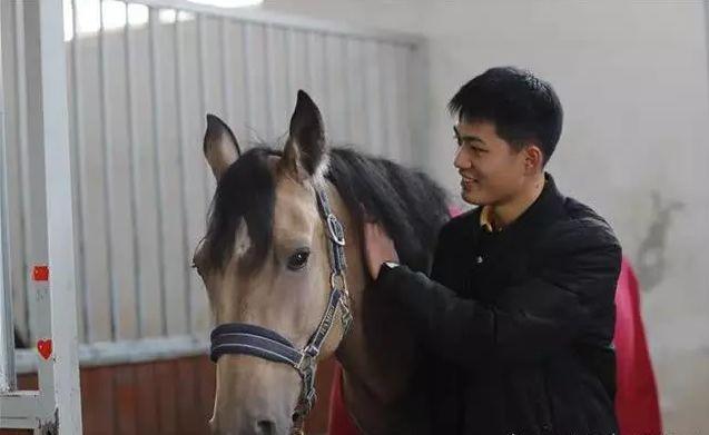 武汉马业大学实锤了！武汉一高校“牧马人”陪马儿过春节