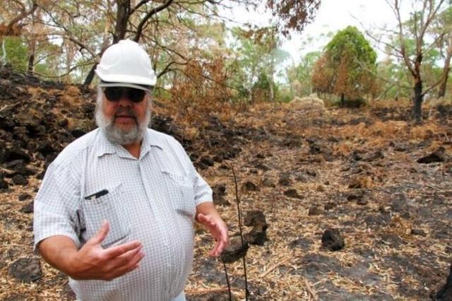 澳山火引出考古新发现 植被烧尽后露出6600年前古迹