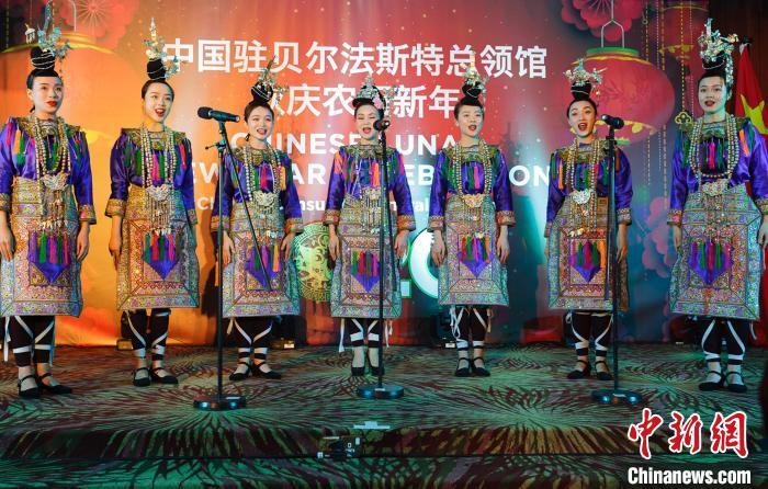 中国驻贝尔法斯特总领馆举办春节招待会