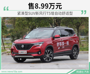 新风行T5增自动舒适