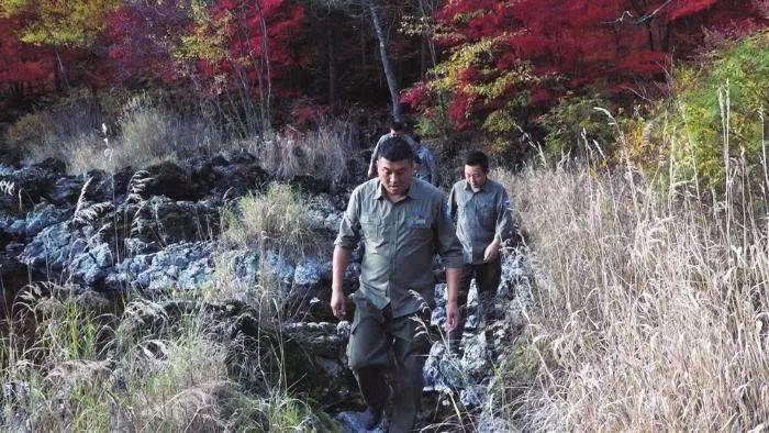 长白山保护中心维东保护站开展森林防火和动物保护相关工作