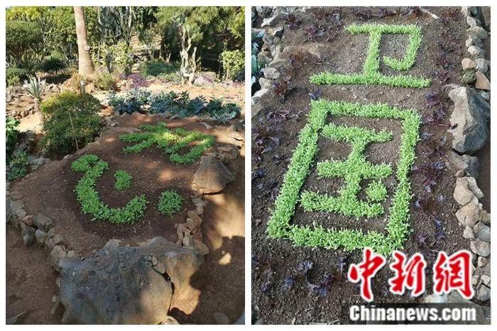 战士们在拓荒园中种出“初心”和“卫国”。供图