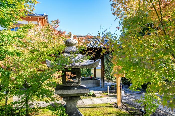 日本小众景点推荐：京都胜林寺，来自中国的禅宗美学令人赞叹