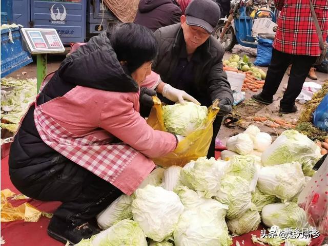 新乡故事：“冬储菜”百姓储的不是菜，是情怀