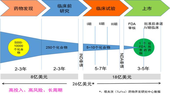 新药研发流程图(图片来源:作者提供)
