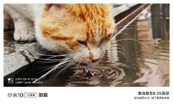 小米10拍摄样张