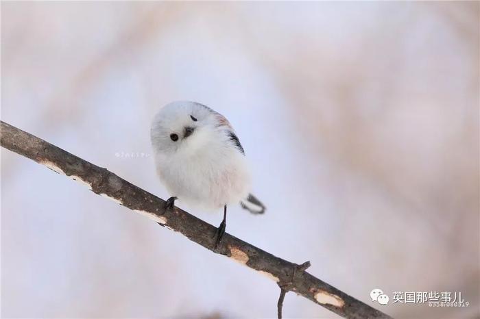 多部门呼吁