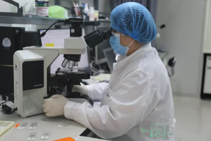 △图片由臻和科技提供