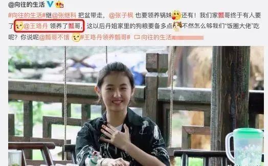 被王珞丹领养7个月后，“小瓢”现状曝光，吃饭机器已变温柔狗狗