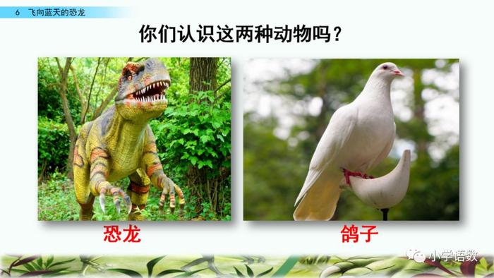送！统编语文四年级下册第6课《飞向蓝天的恐龙》图文讲解+课文朗读+知识点+同步练习