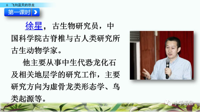 送！统编语文四年级下册第6课《飞向蓝天的恐龙》图文讲解+课文朗读+知识点+同步练习