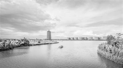 华阳湖国家湿地公园东莞市麻涌镇政府供图