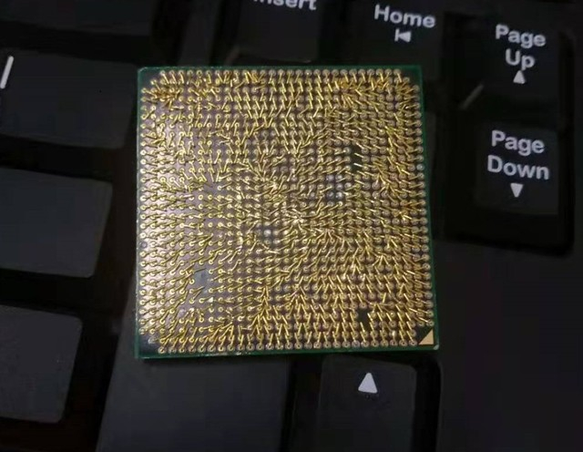怕不怕(图片来自百度贴吧)