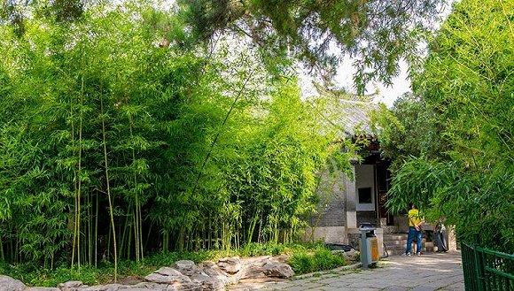图片来源:山东省文化和旅游厅