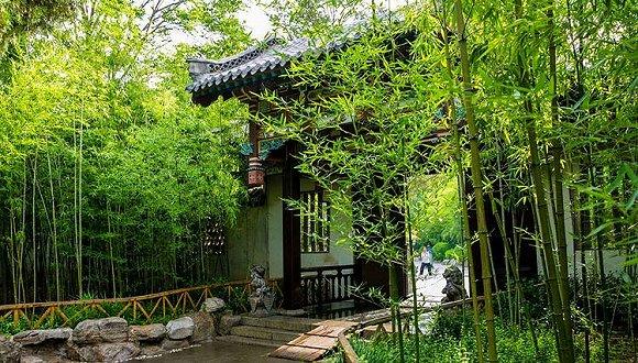 图片来源:山东省文化和旅游厅