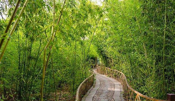 图片来源:山东省文化和旅游厅