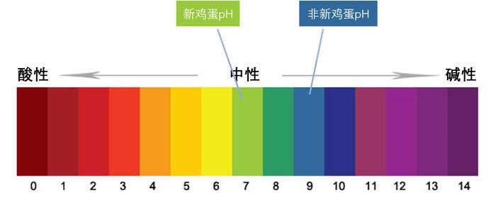 新鸡蛋和非新鸡蛋的pH (图片作者提供)